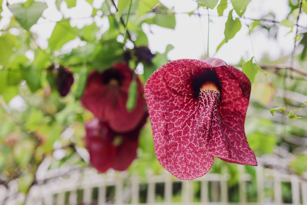 FILE-20250922-1559ZCGE4SPPTJ3P