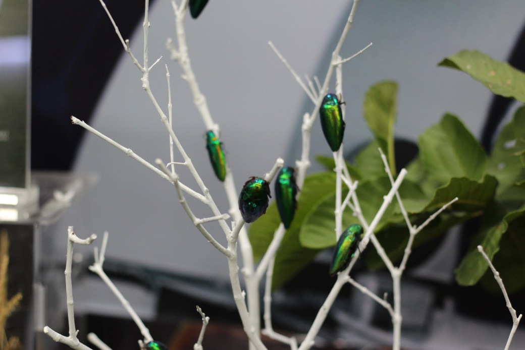 FILE-20250922-161965N6NRVNN818