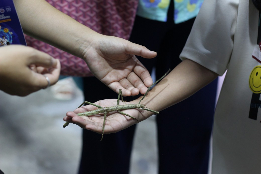 FILE-20250922-1621E19XEA4D4YLA