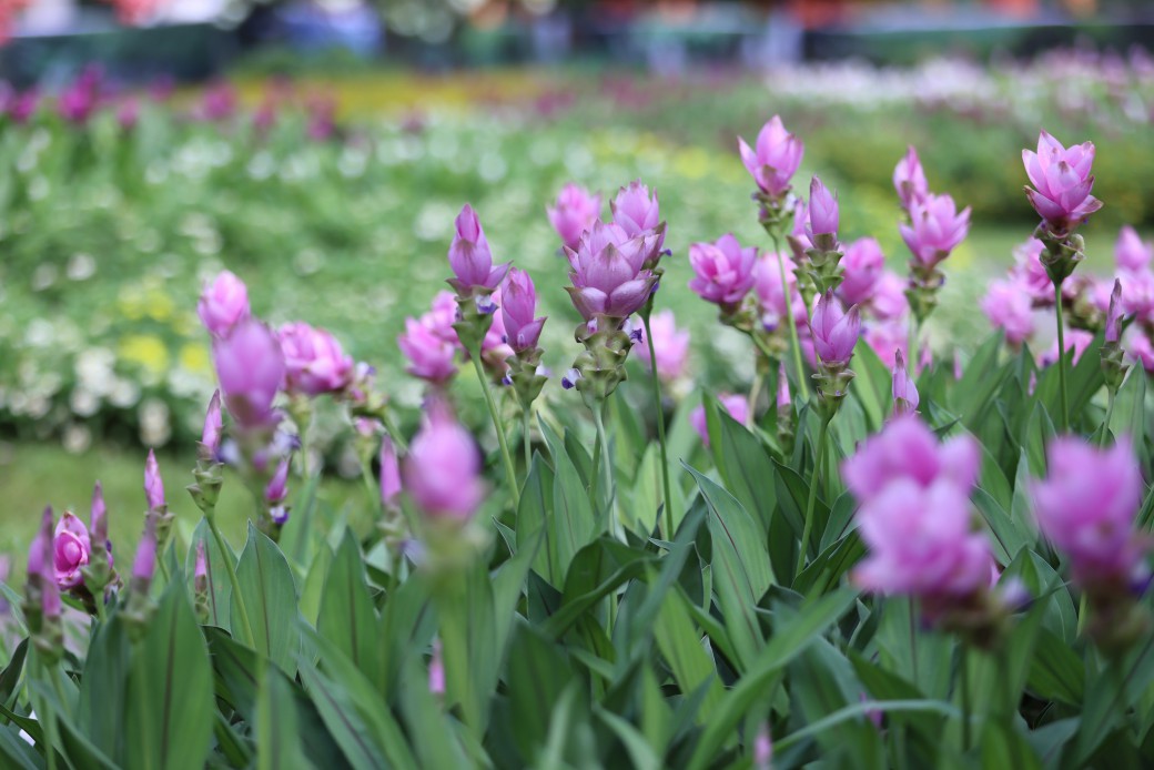 FILE-20250922-16244CQABRNH5H9D