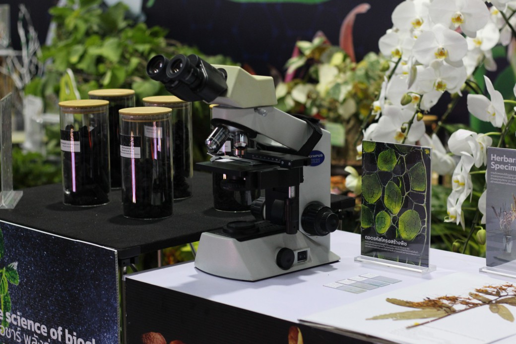 FILE-20250922-1639M7Q4K3GJTASU