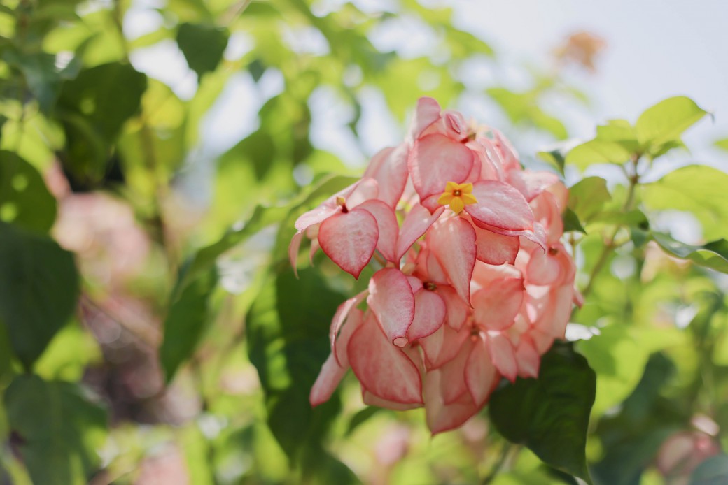 FILE-20250924-1402E9W8TN853W6V