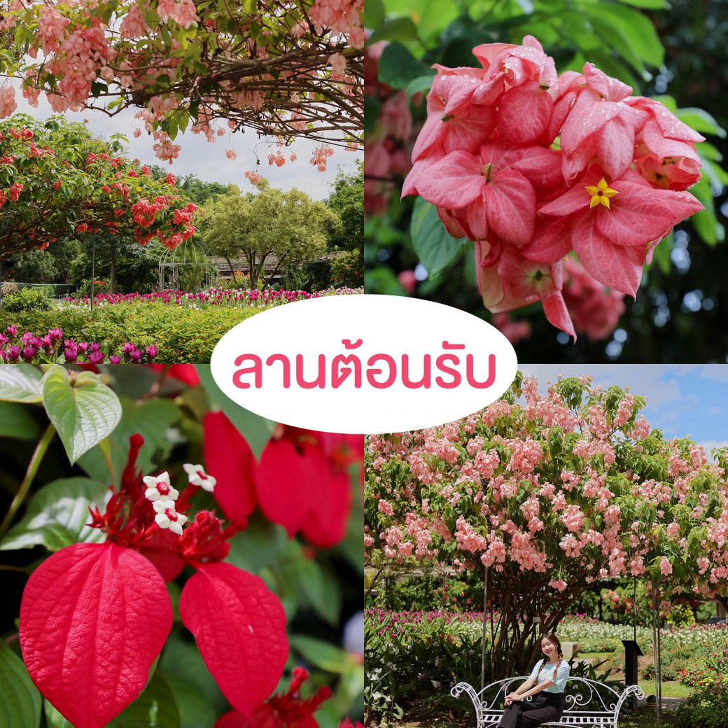 FILE-20250924-1410HX7W3RGR1NWH