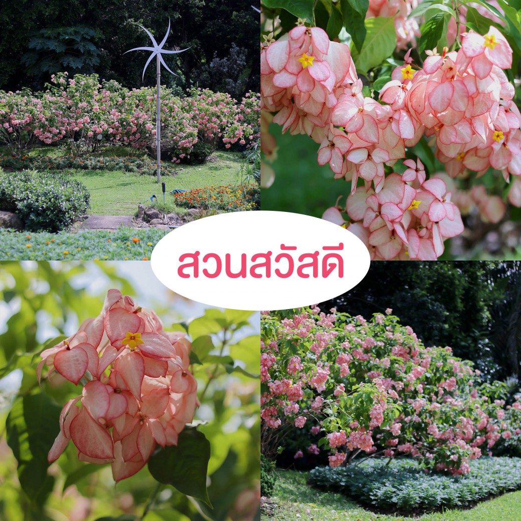 FILE-20250924-1424SQYGZ35AAH8V