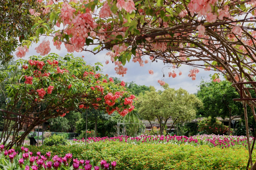 FILE-20250924-1433CHTDDK2G5VTA