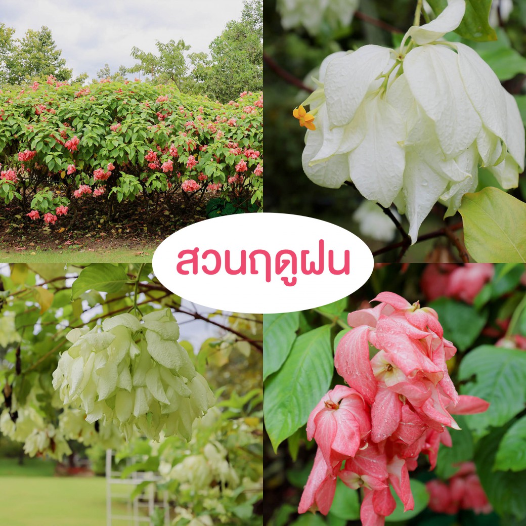 FILE-20250924-1441KT8K1F8DWYHE