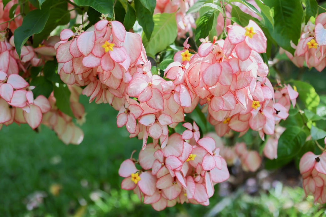 FILE-20250924-1442XGC857GUUUH2