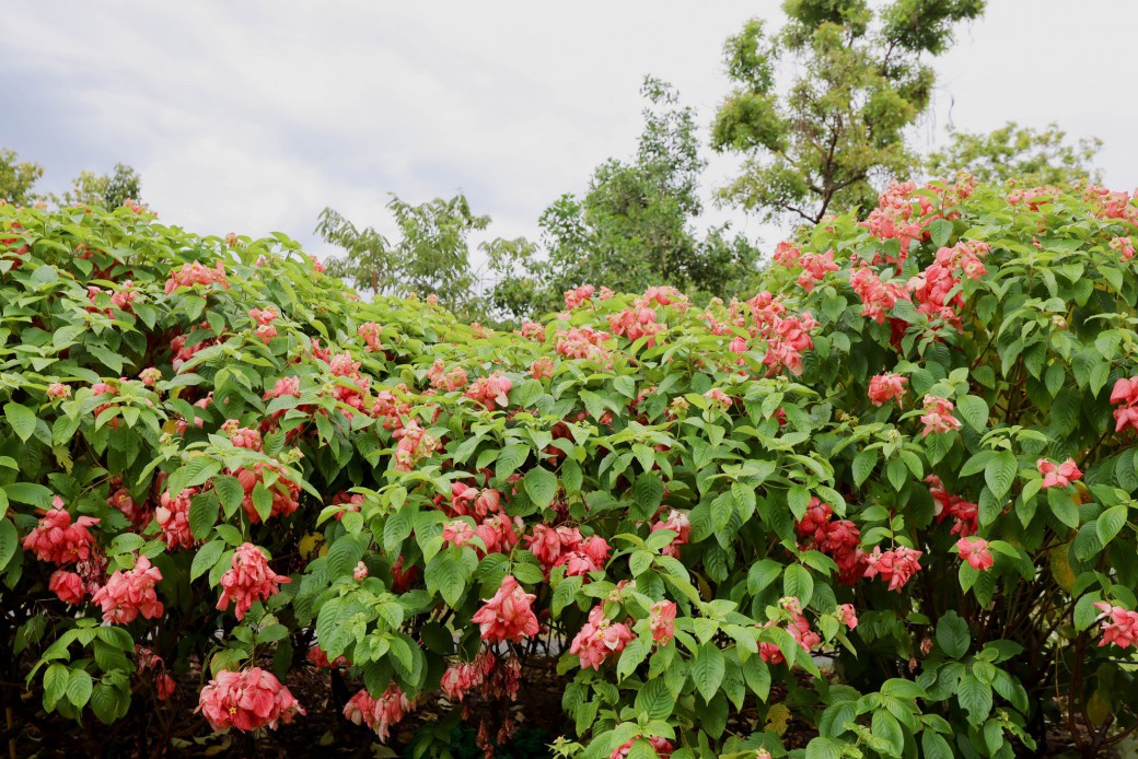 FILE-20250924-1443UGX17D44887L