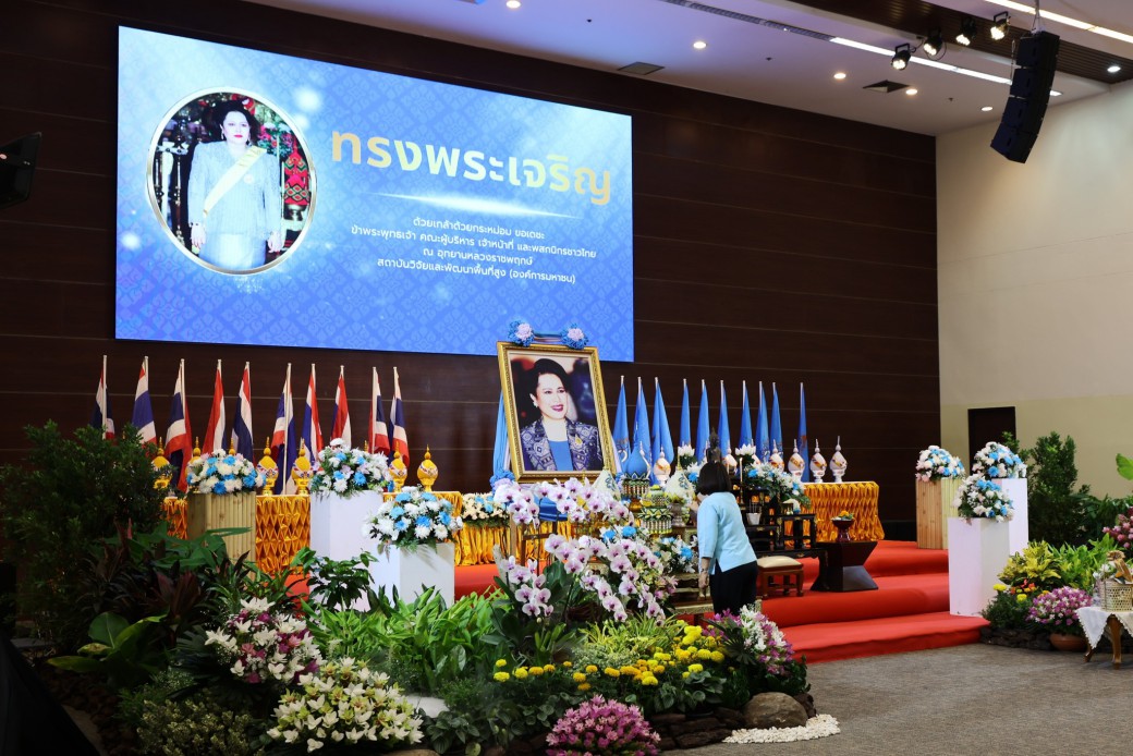 FILE-20250924-144659YNK1PBC9VG