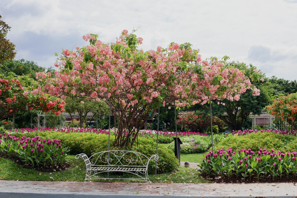 FILE-20250924-1453YFAR1R3HJLCE