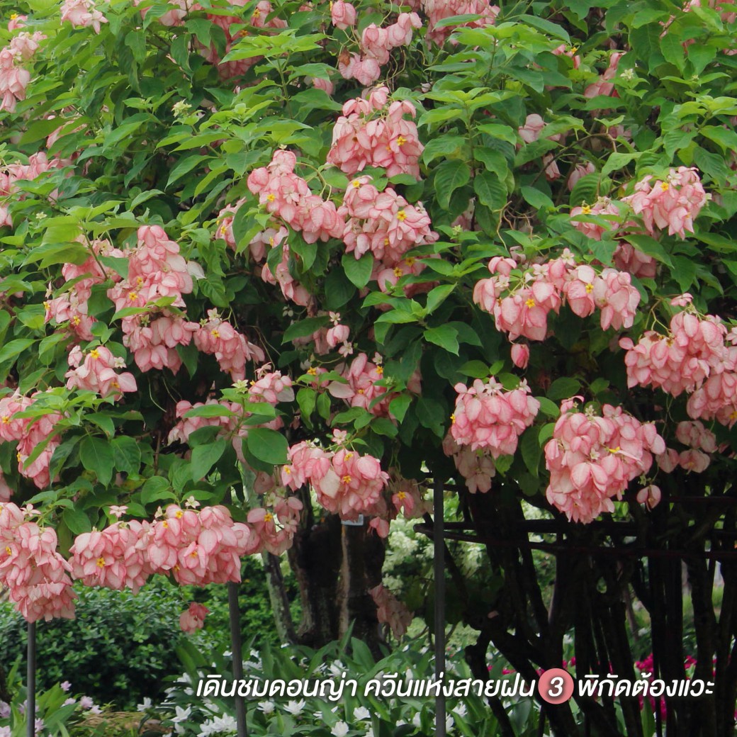 FILE-20250924-1459RRGSZT1NJS5Z