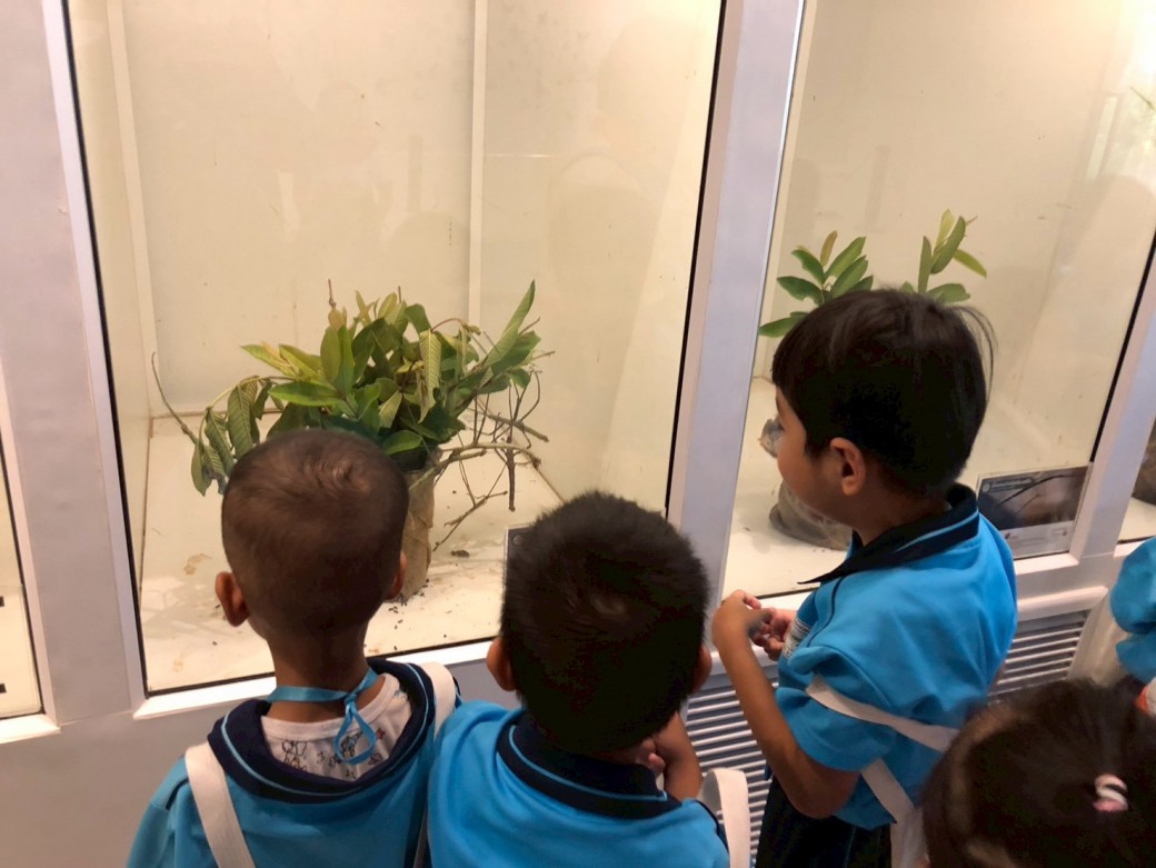 FILE-20250925-1403DWM4MDXPYN1Q