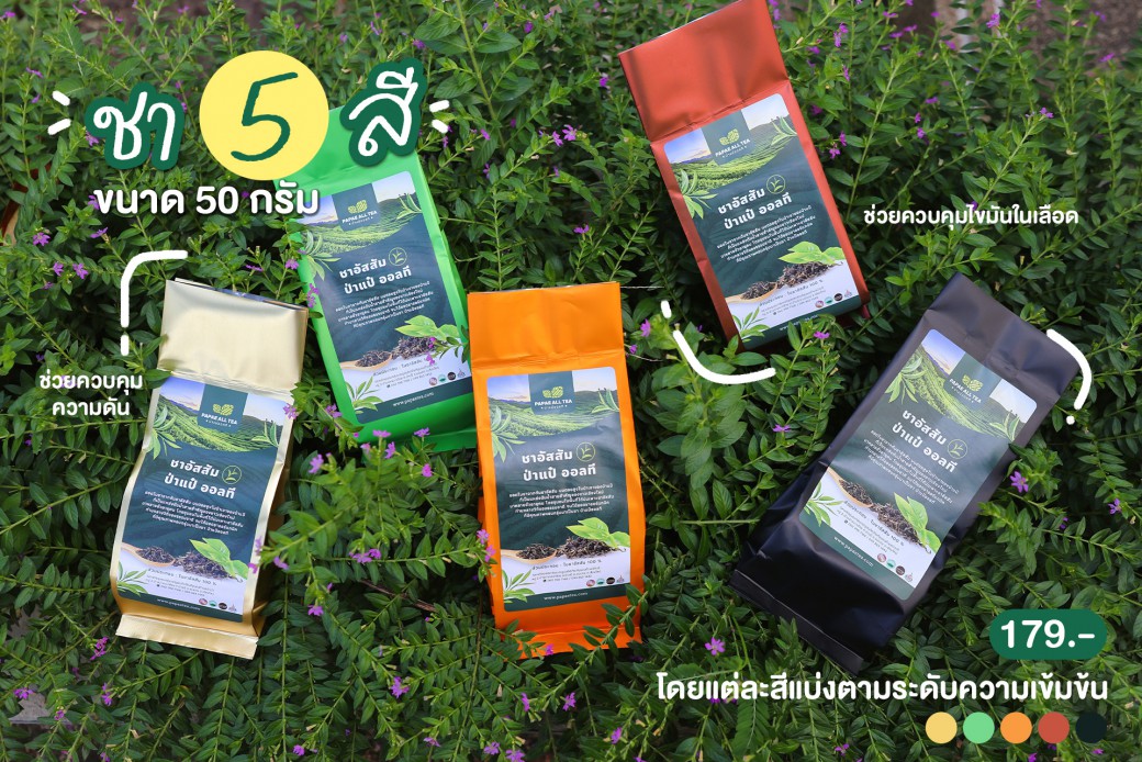 FILE-20250925-14106JSU4NQ92BHQ