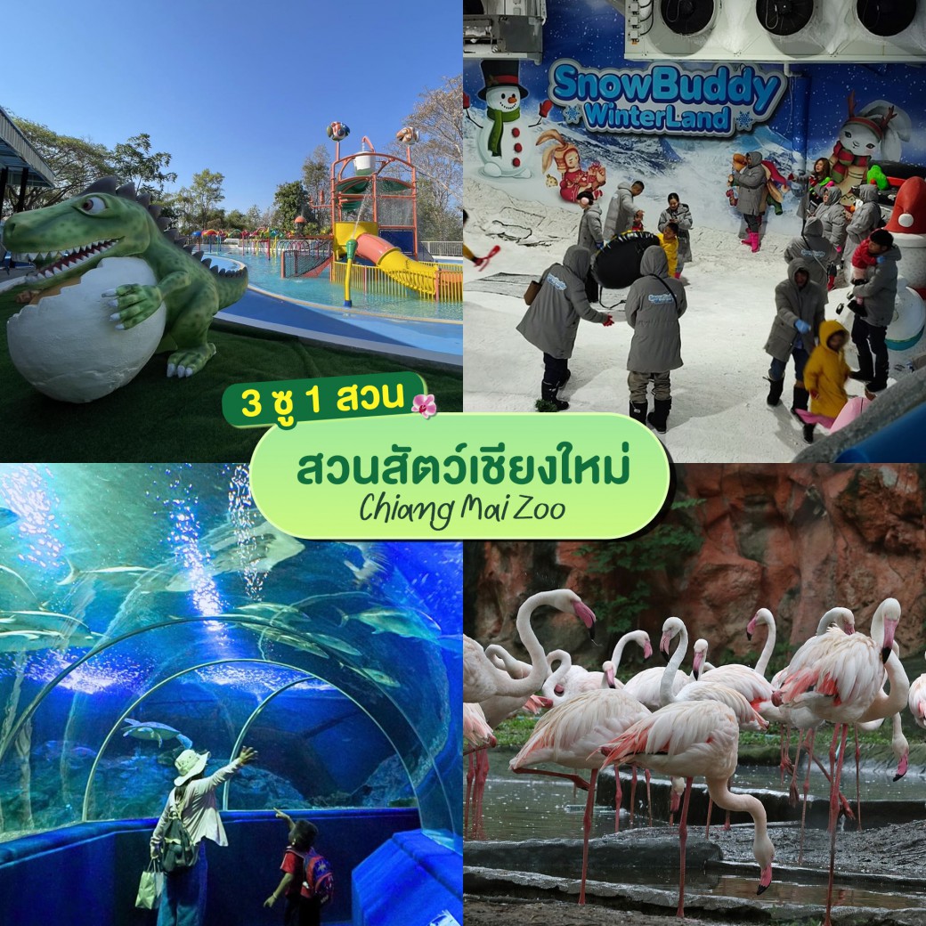 FILE-20250925-14136KV23LC3KQLB