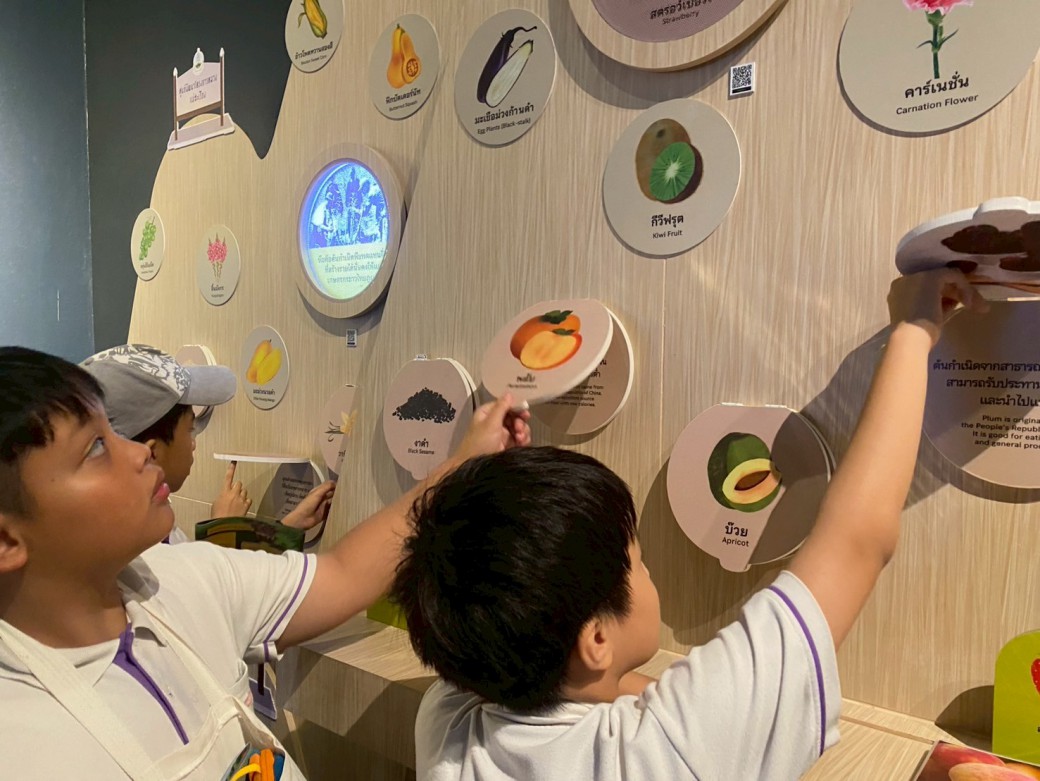 FILE-20250925-1416PB6NX36KJF9Q