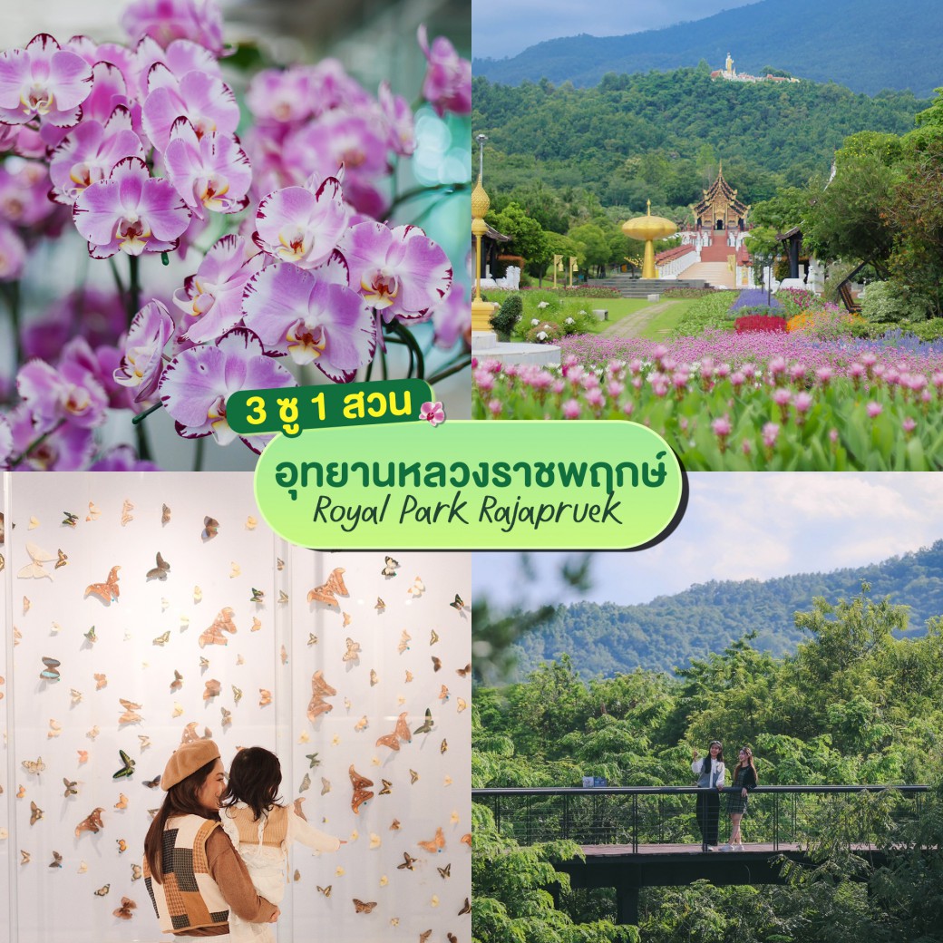 FILE-20250925-141867JWZK1Z2E1U