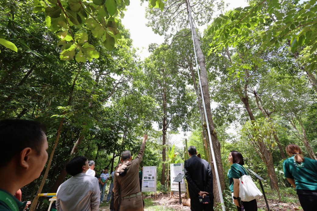 FILE-20250925-142477CUZ9PZ8BL2