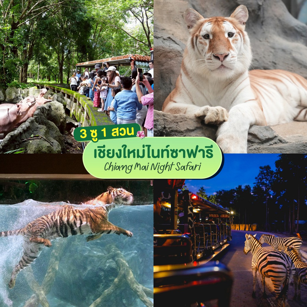 FILE-20250925-14406JTGZDW2HJSX