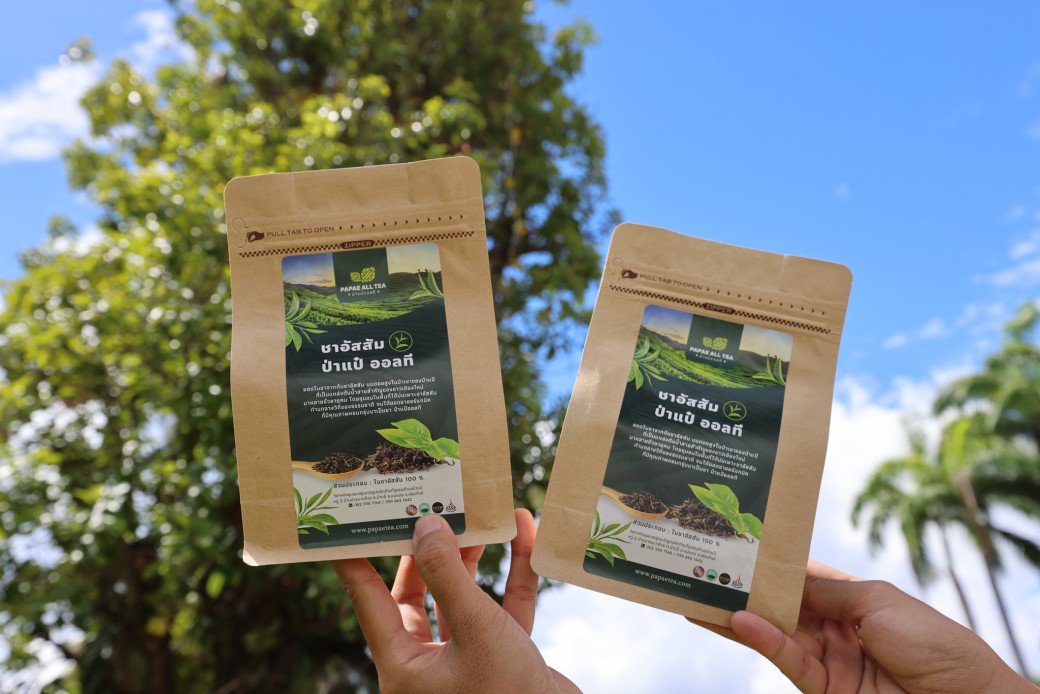 FILE-20250925-14497UXXQS6LLG87