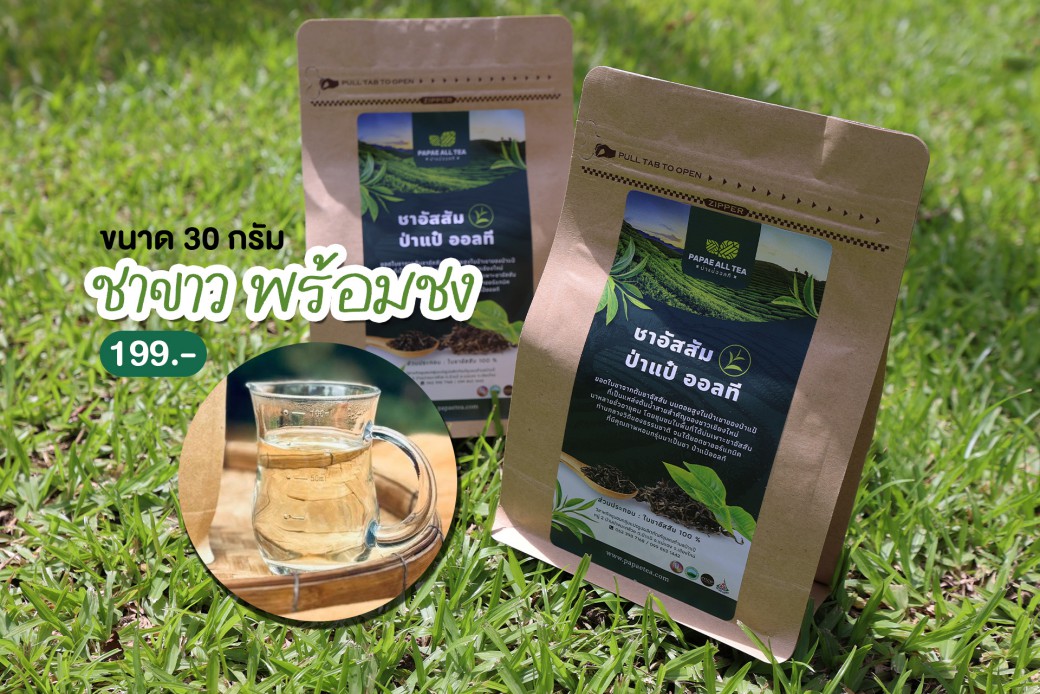 FILE-20250925-1451YLUUHQBK8EL9