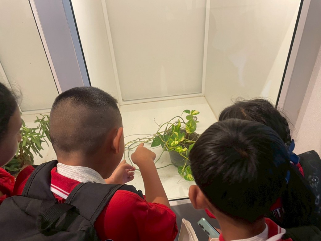 FILE-20250925-145687BNYRXHKVLV