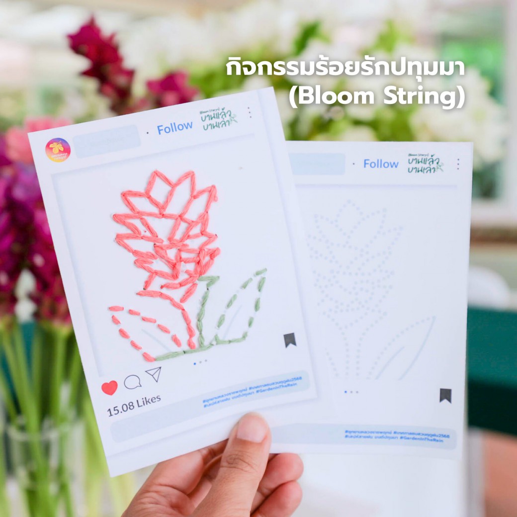 FILE-20250925-1503G3B7GBH5XSPB