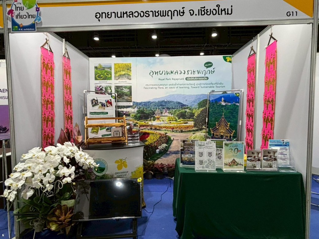 FILE-20250925-1519XS95LM12BD8L