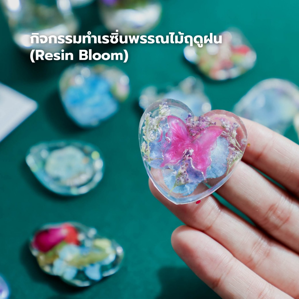 FILE-20250925-1533M7W9Y7G4SF3S