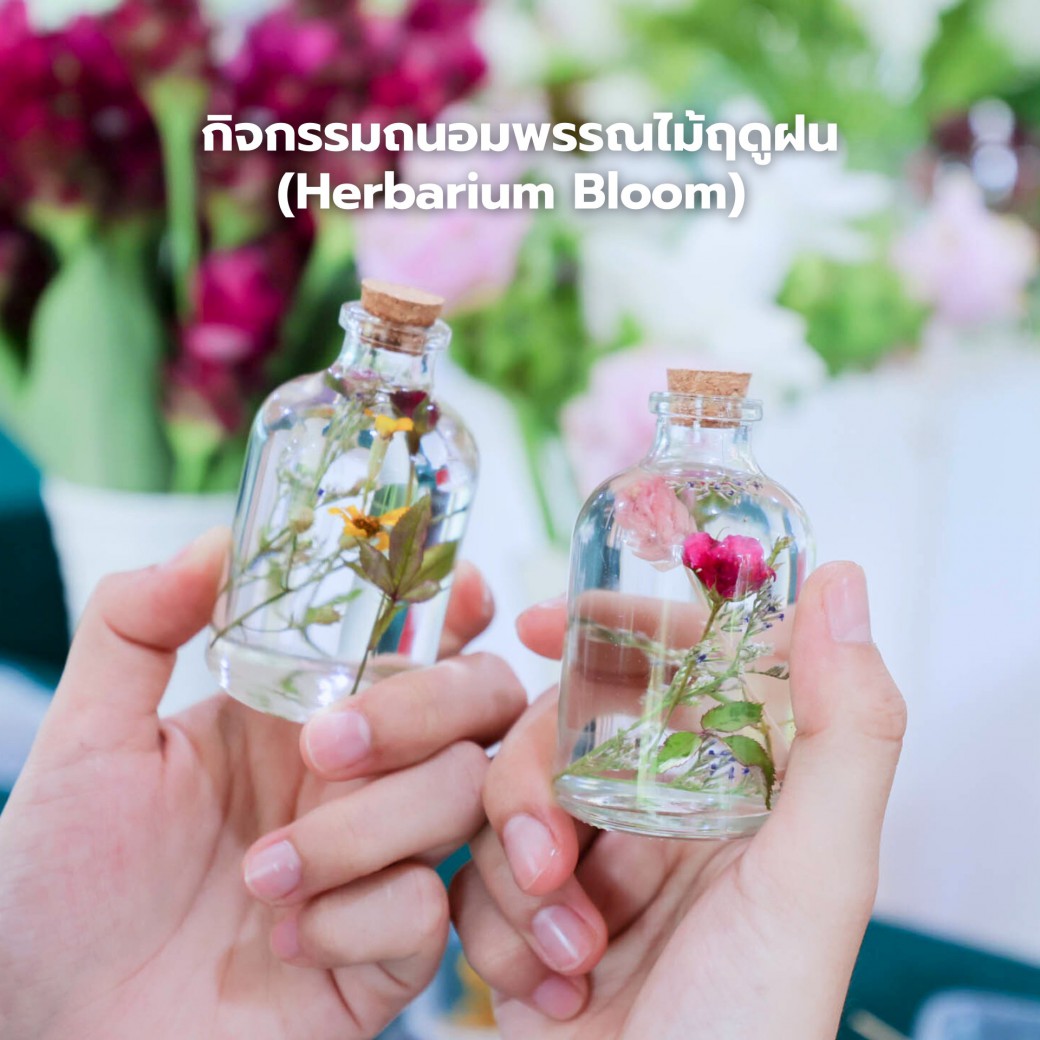 FILE-20250925-1546V7V6UTEJ7TNB