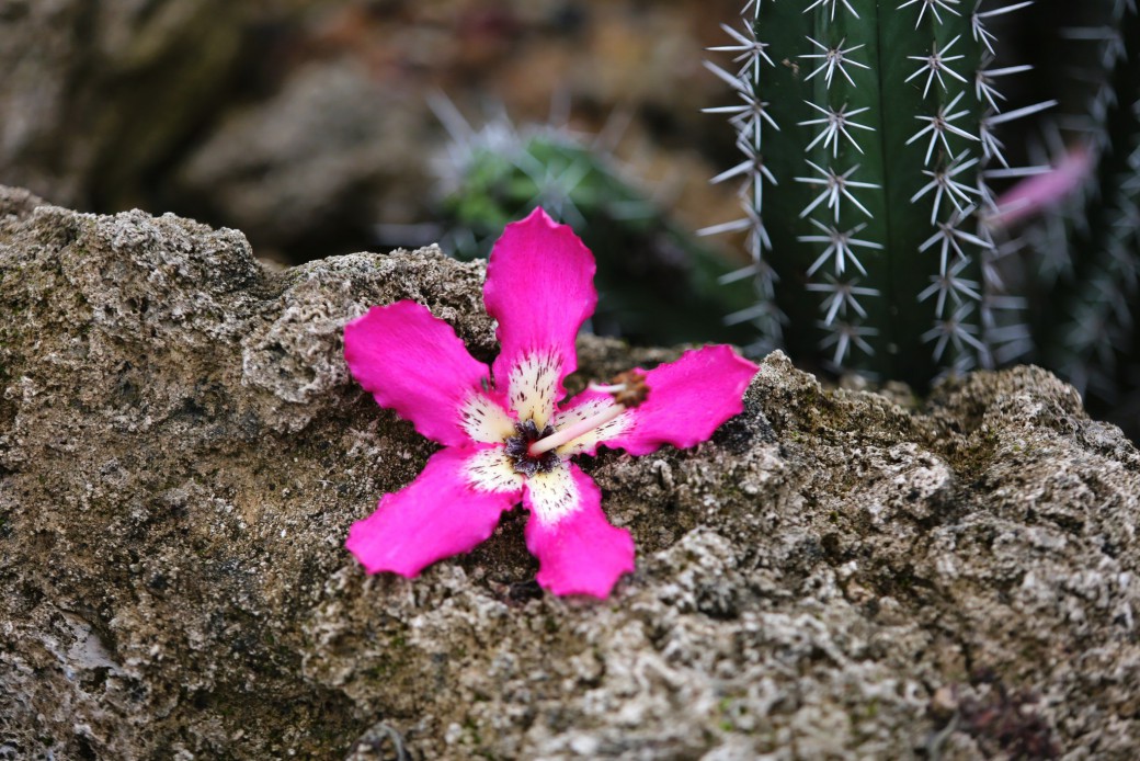 FILE-20250925-1615NVPV2QNZ2PGE