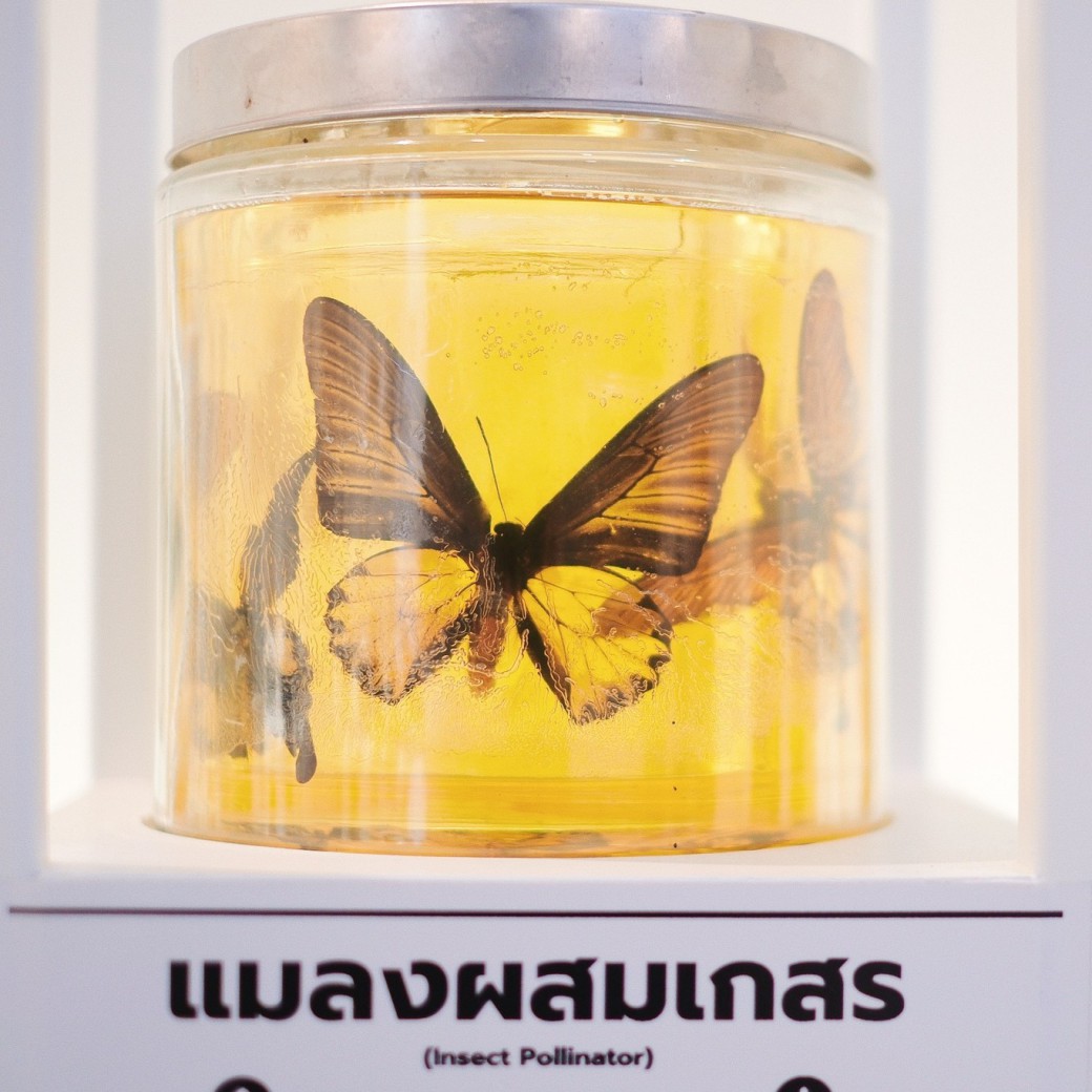 FILE-20250925-1618SC6HD7LZAE8T