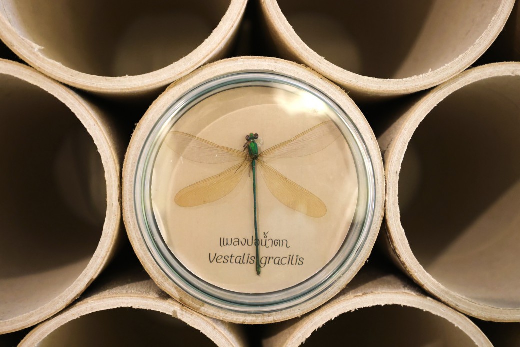 FILE-20250925-1621M994HDNUPA28