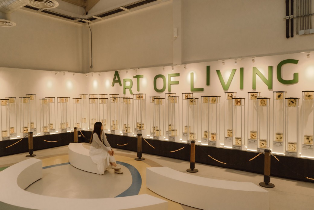 FILE-20250925-1631DG9QW815DPHJ