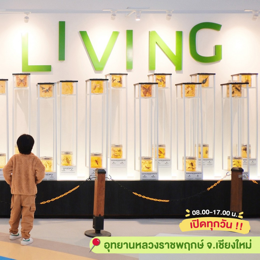 FILE-20250925-1633FBUZK8MZXT13