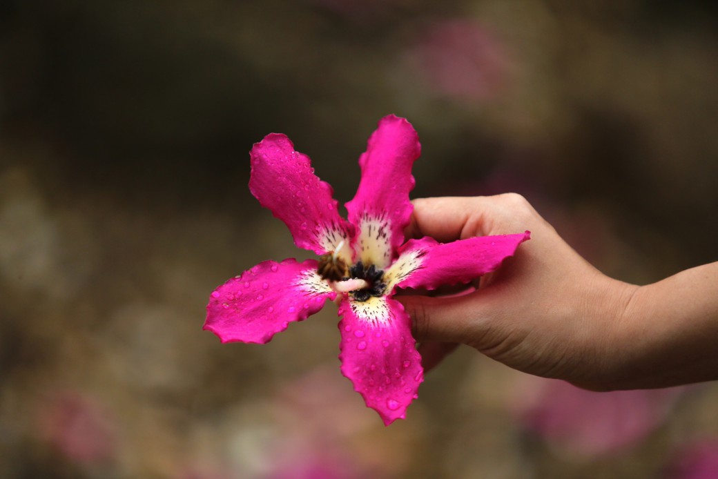 FILE-20250925-1638MBG1PS5W6U96