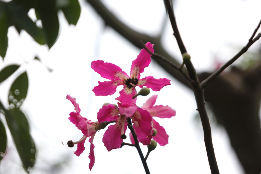 FILE-20250925-1648BFQEJGFERPQM