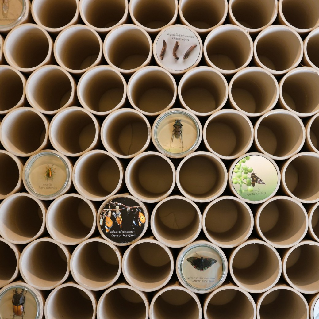 FILE-20250925-1651V74QCP8S7Y4N