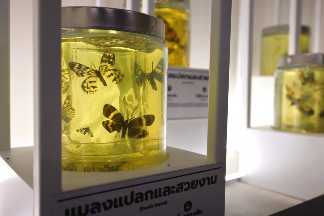 FILE-20250925-1652W4GVC2NUM8LR