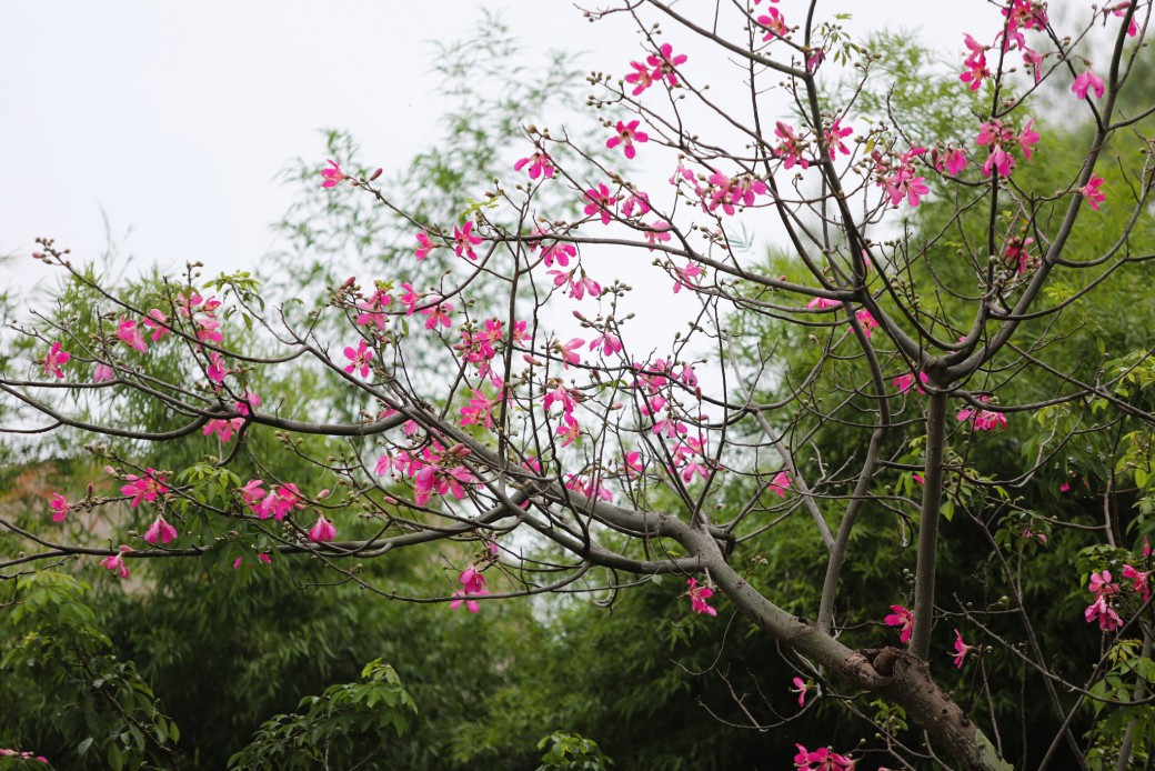 FILE-20250925-1659V68V7EL7T5S1