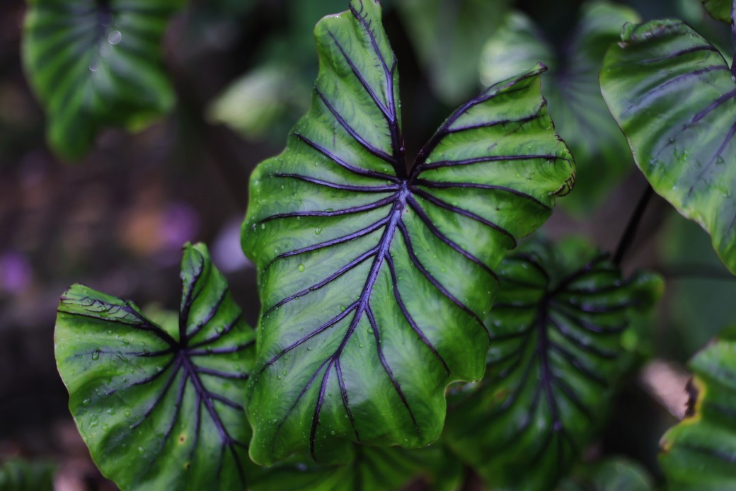 FILE-20250926-0809HEMYG6Z4LFZF