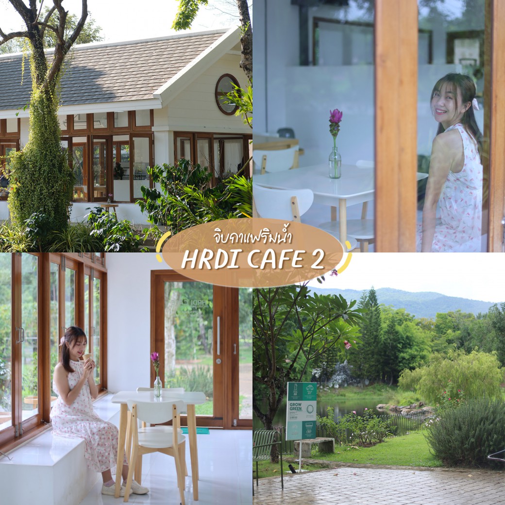 FILE-20250926-0821MS13V512W33C