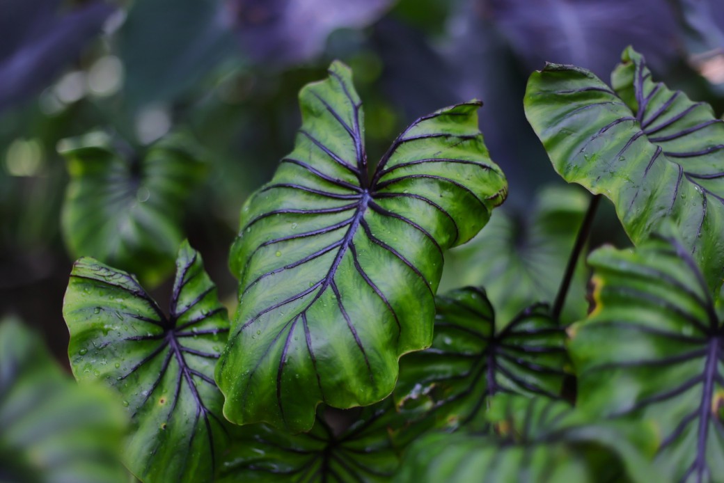 FILE-20250926-08325MNH1CQMSRYU