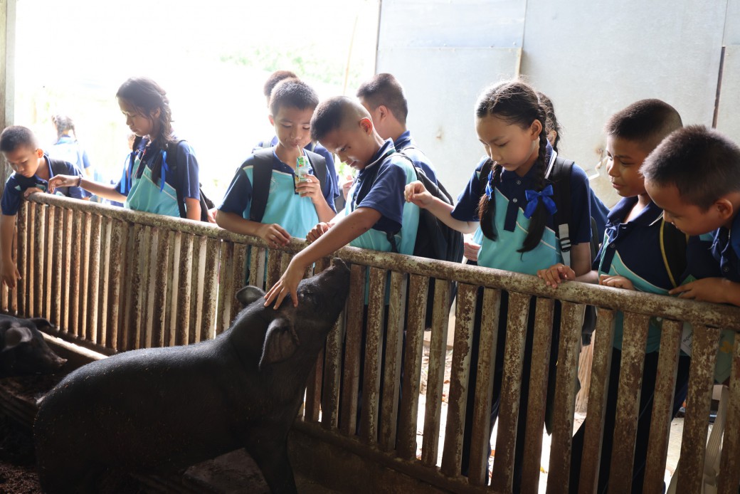 FILE-20250926-0915FP31CGDXU1SW