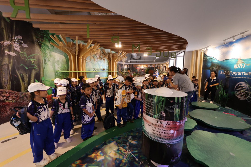 FILE-20250926-09382NMH4XFE5WLC