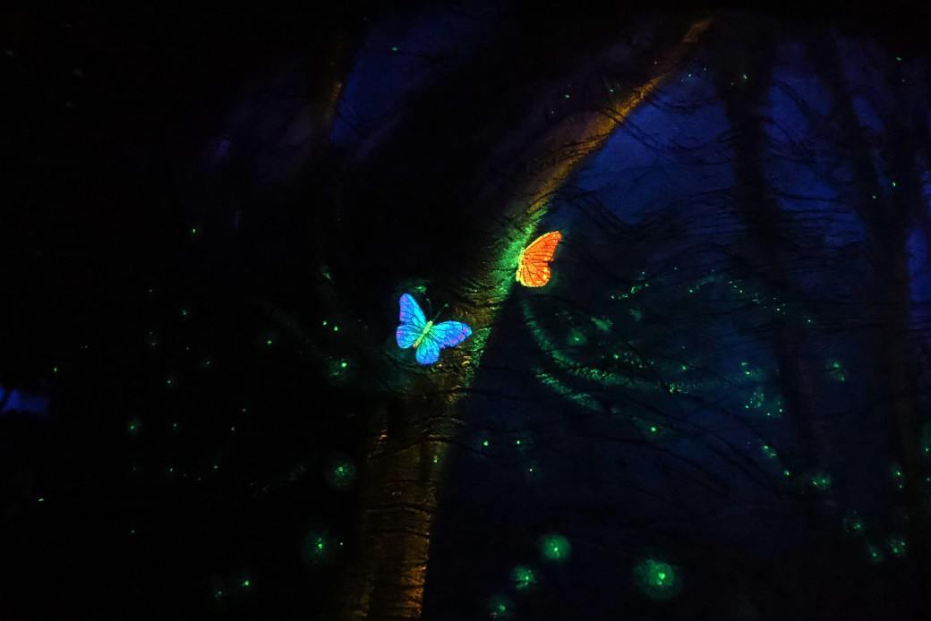 FILE-20250926-09449GYLR2BQZP8U