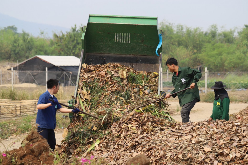 FILE-20251014-1612PDCFGK8LL6Y3