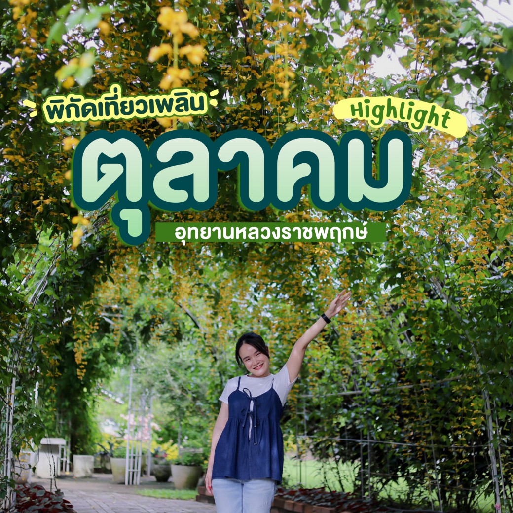 FILE-20251016-1503DC52P5SG7G6A