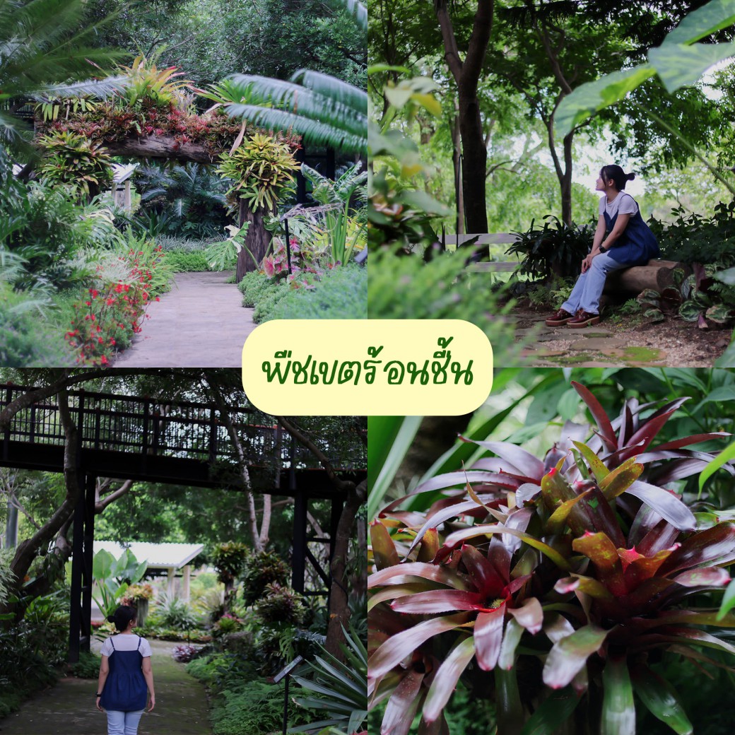 FILE-20251016-15065UHMNPGHVQTK