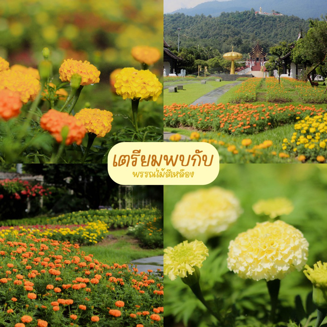 FILE-20251016-15091NQ654SXQ9MT