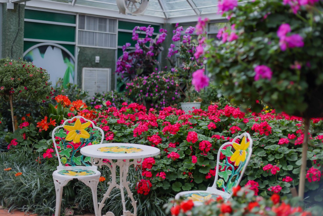 FILE-20251016-15131DMK7QAGTMKD